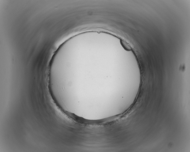 X0000089931526200707271746