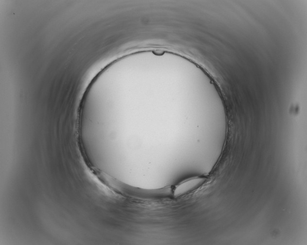 X0000089931527200707271746