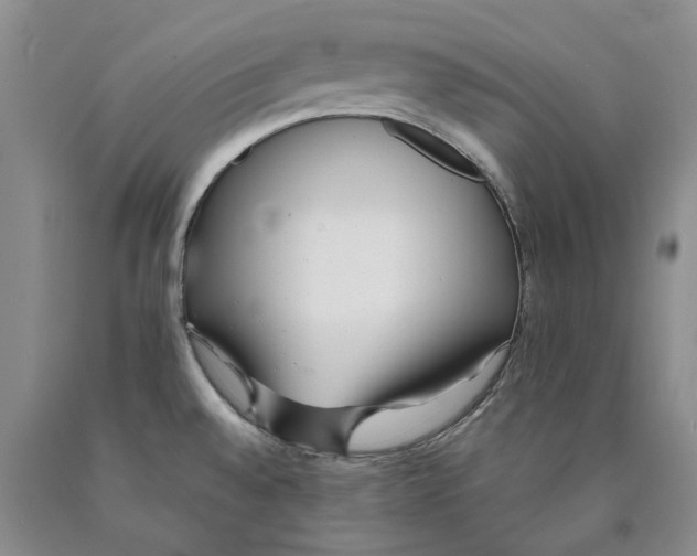 X0000089931528200707271746