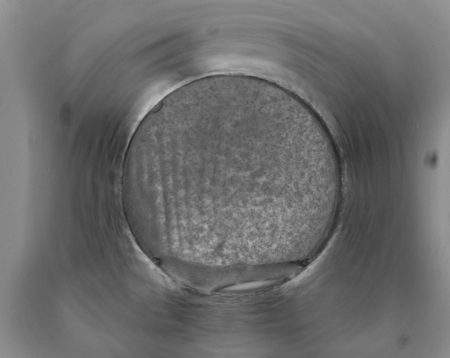 X0000089931529200707271746