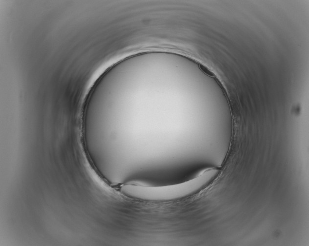 X0000089931531200707271746