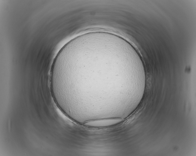 X0000089931535200707271747