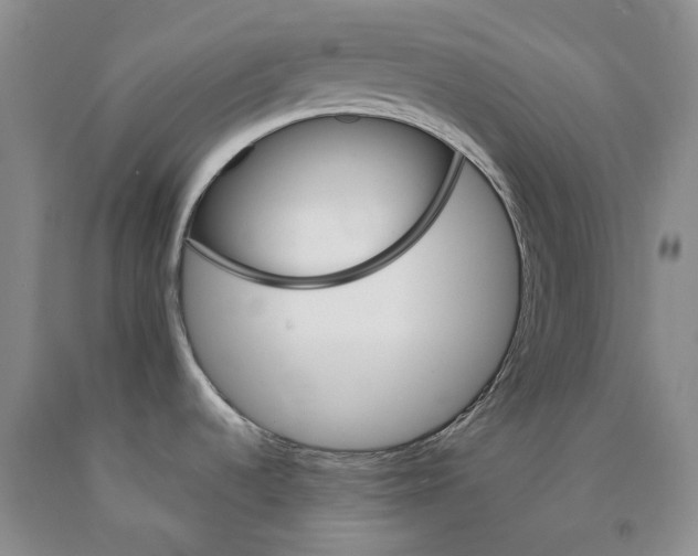 X0000089931536200707271747