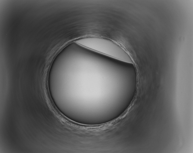 X0000089940001200706290825