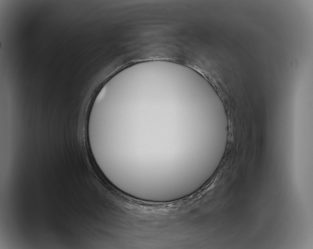X0000089940004200706290825