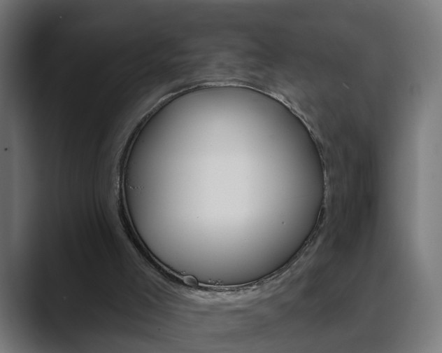 X0000089940005200706290825