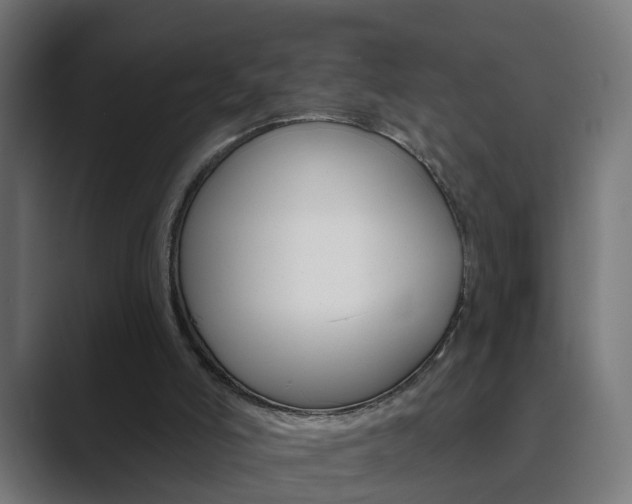 X0000089940006200706290825