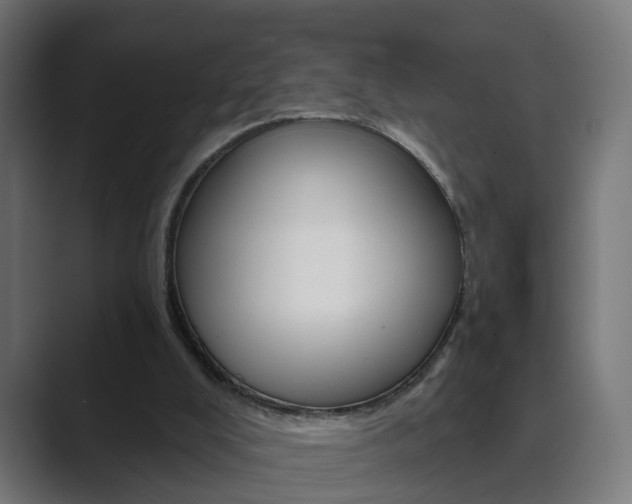 X0000089940008200706290825