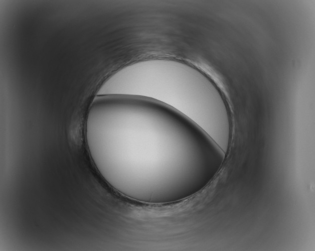 X0000089940009200706290825