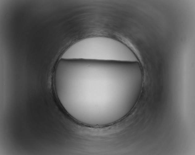 X0000089940010200706290825