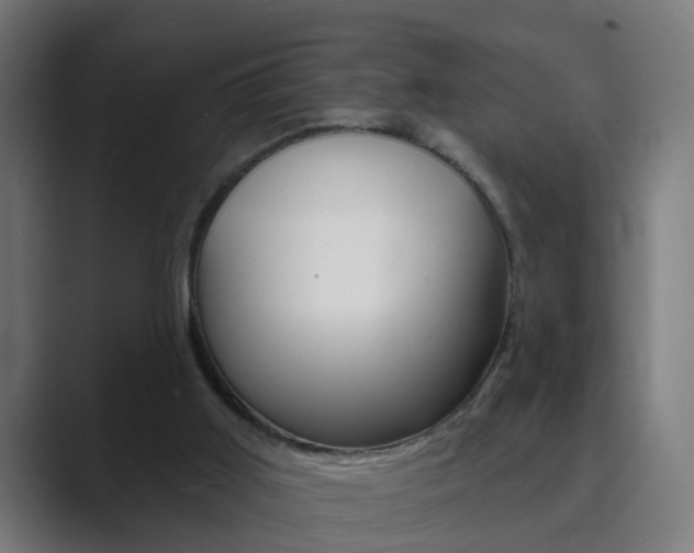 X0000089940011200706290825