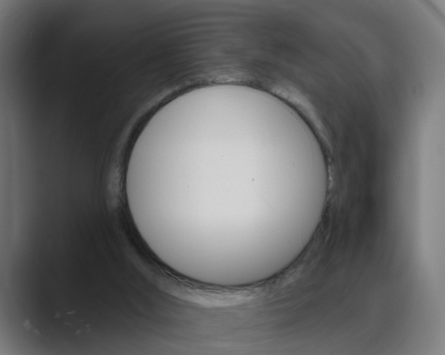 X0000089940012200706290825