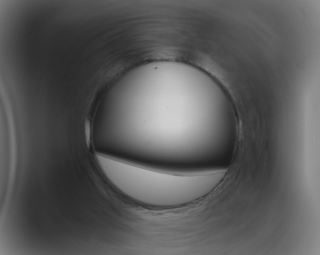 X0000089940013200706290825