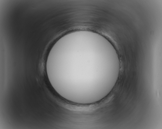 X0000089940016200706290825