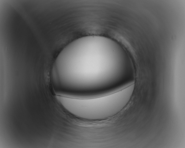 X0000089940017200706290825