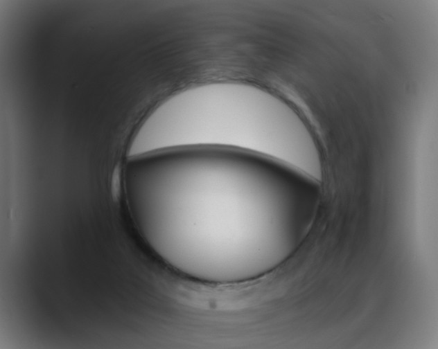 X0000089940019200706290825
