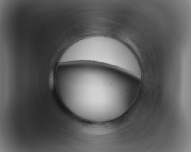 X0000089940020200706290825