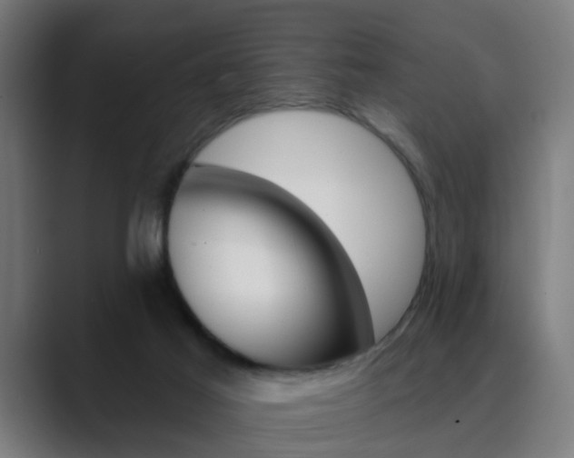 X0000089940021200706290824