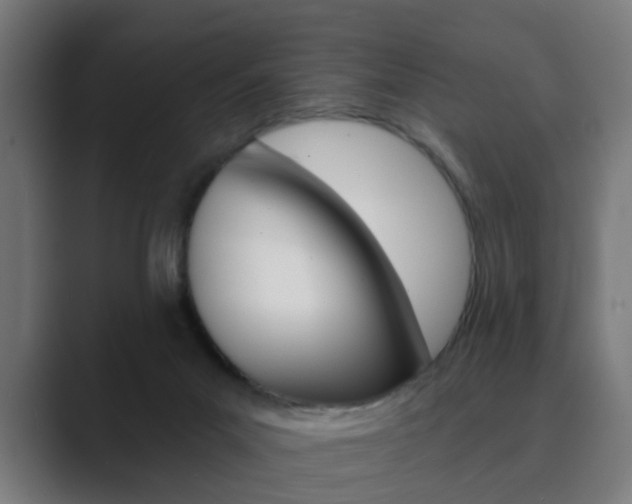 X0000089940023200706290824