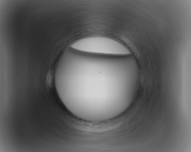 X0000089940026200706290824