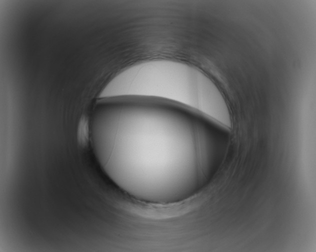 X0000089940027200706290824