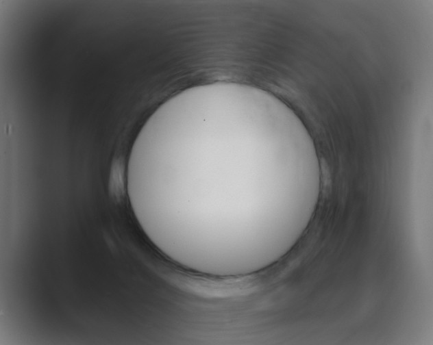 X0000089940028200706290824