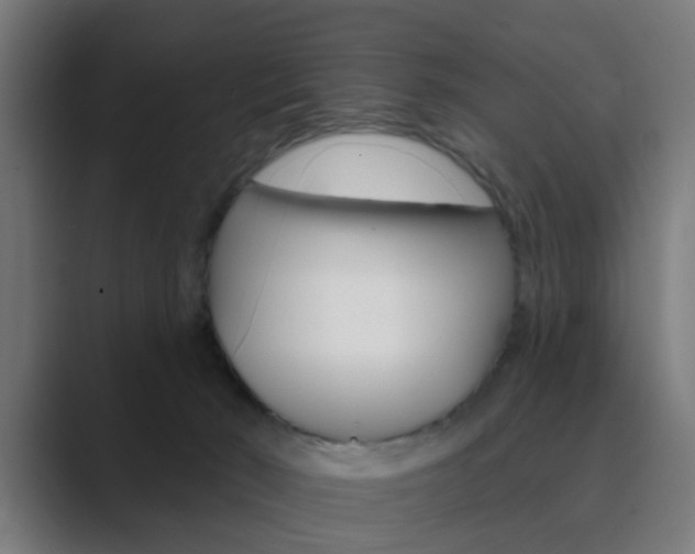 X0000089940030200706290824