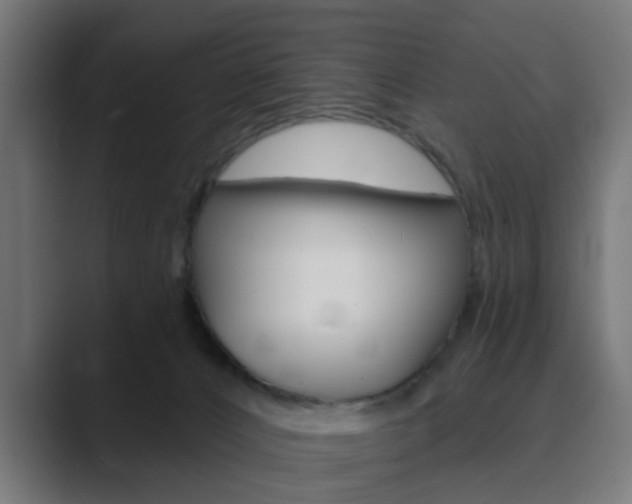 X0000089940032200706290824