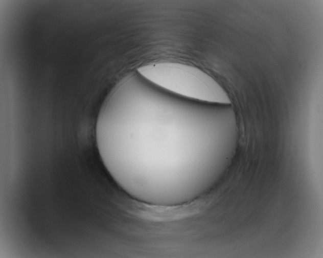 X0000089940034200706290824