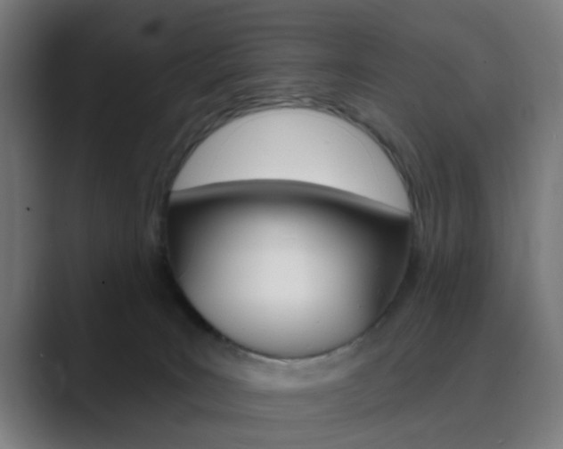 X0000089940035200706290824