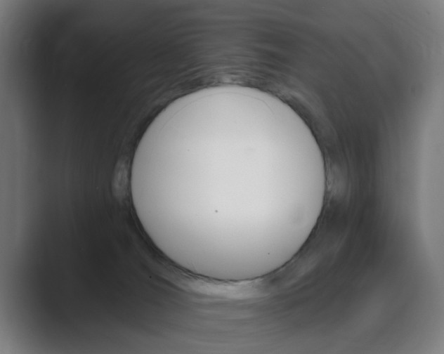 X0000089940036200706290824
