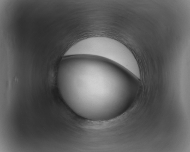 X0000089940037200706290824