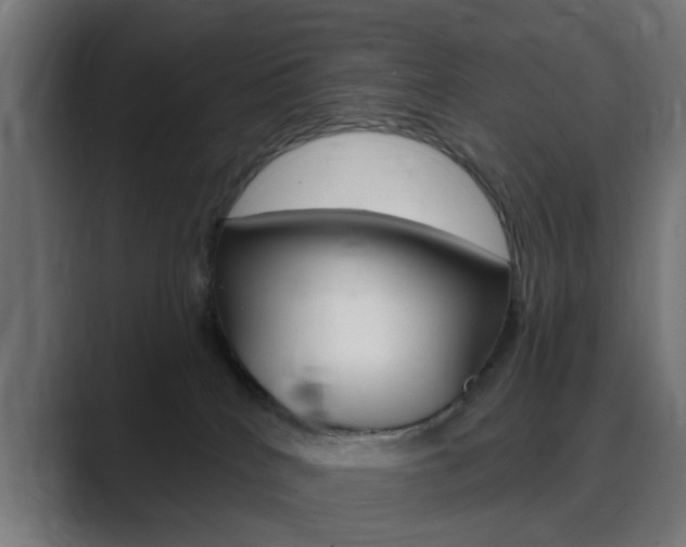 X0000089940040200706290824