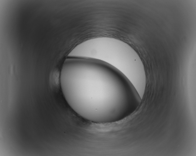 X0000089940041200706290824