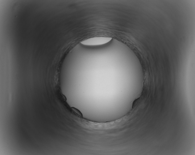 X0000089940043200706290824