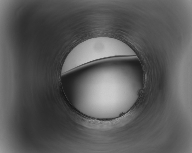 X0000089940048200706290824