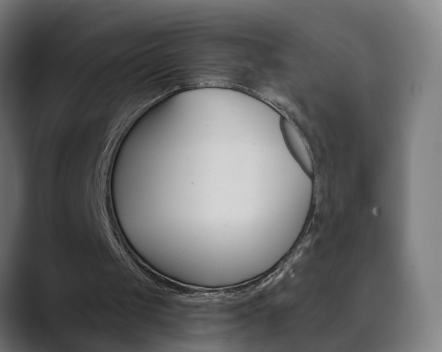 X0000089940049200706290823