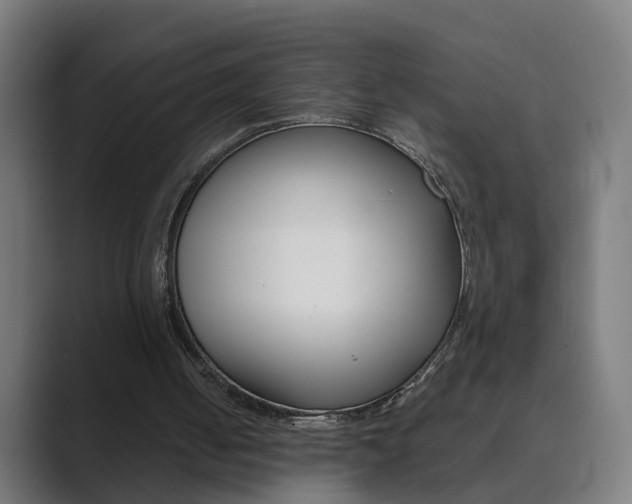 X0000089940050200706290824