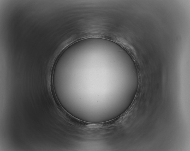 X0000089940051200706290824