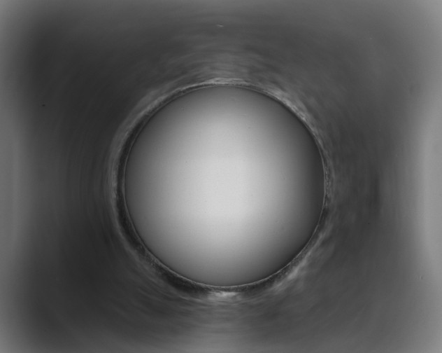 X0000089940055200706290824