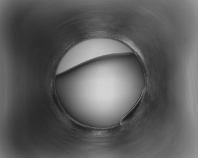 X0000089940057200706290824
