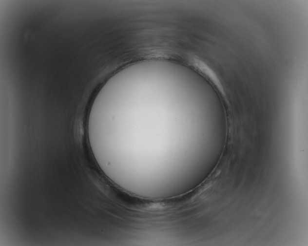 X0000089940059200706290824
