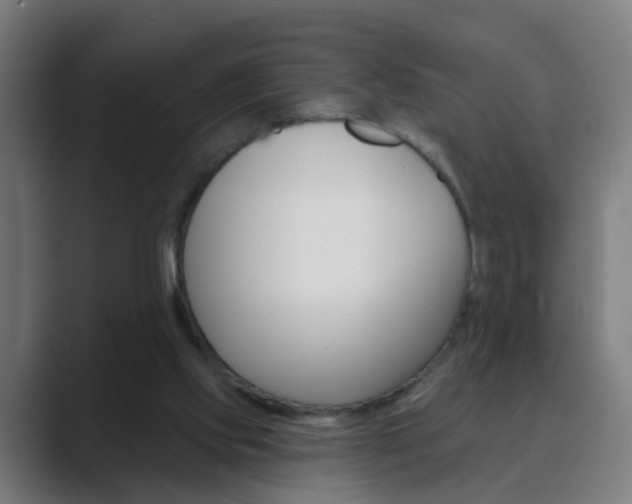 X0000089940061200706290824