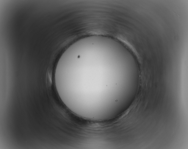 X0000089940062200706290824