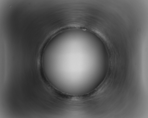 X0000089940064200706290824
