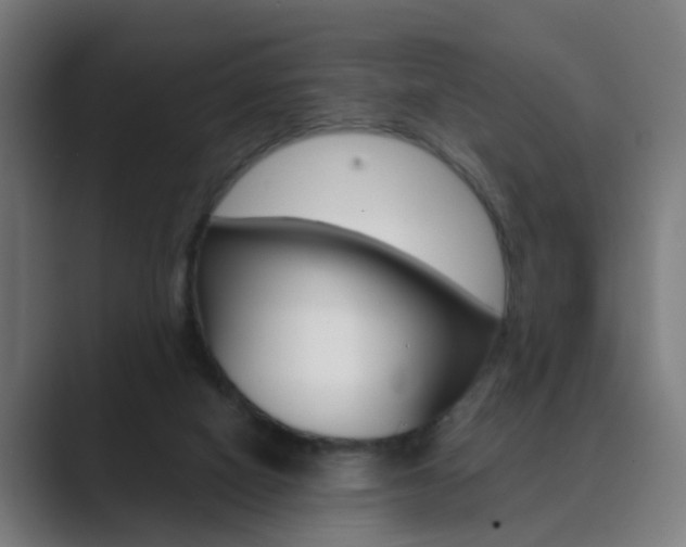X0000089940066200706290824
