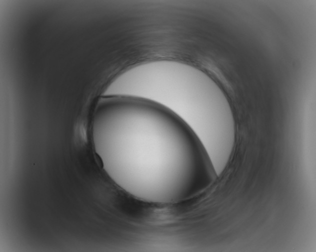 X0000089940068200706290824