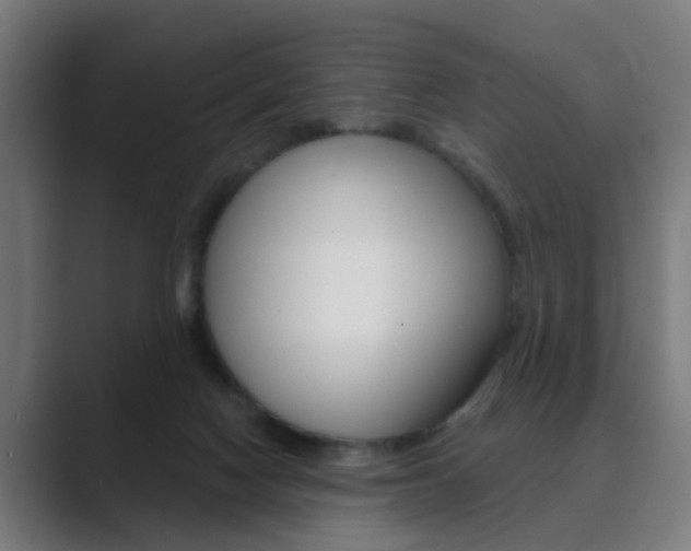 X0000089940074200706290824