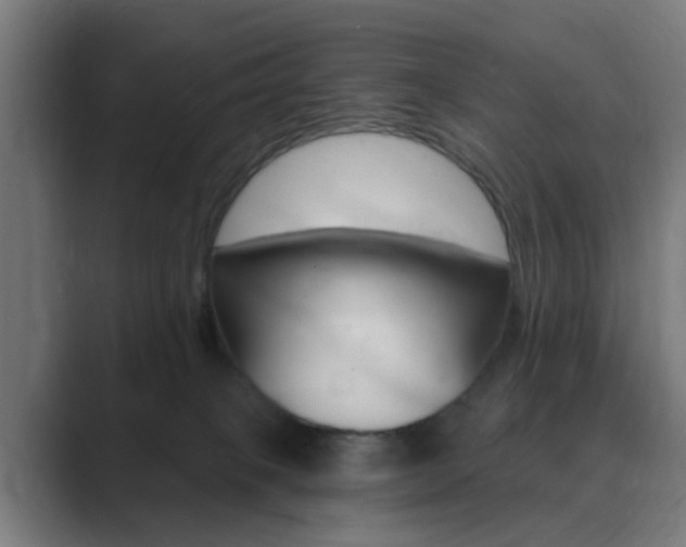 X0000089940085200706290824