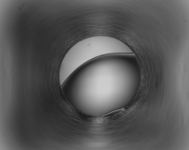 X0000089940096200706290824